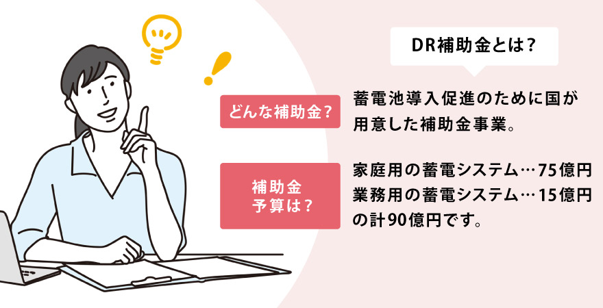 DR補助金
