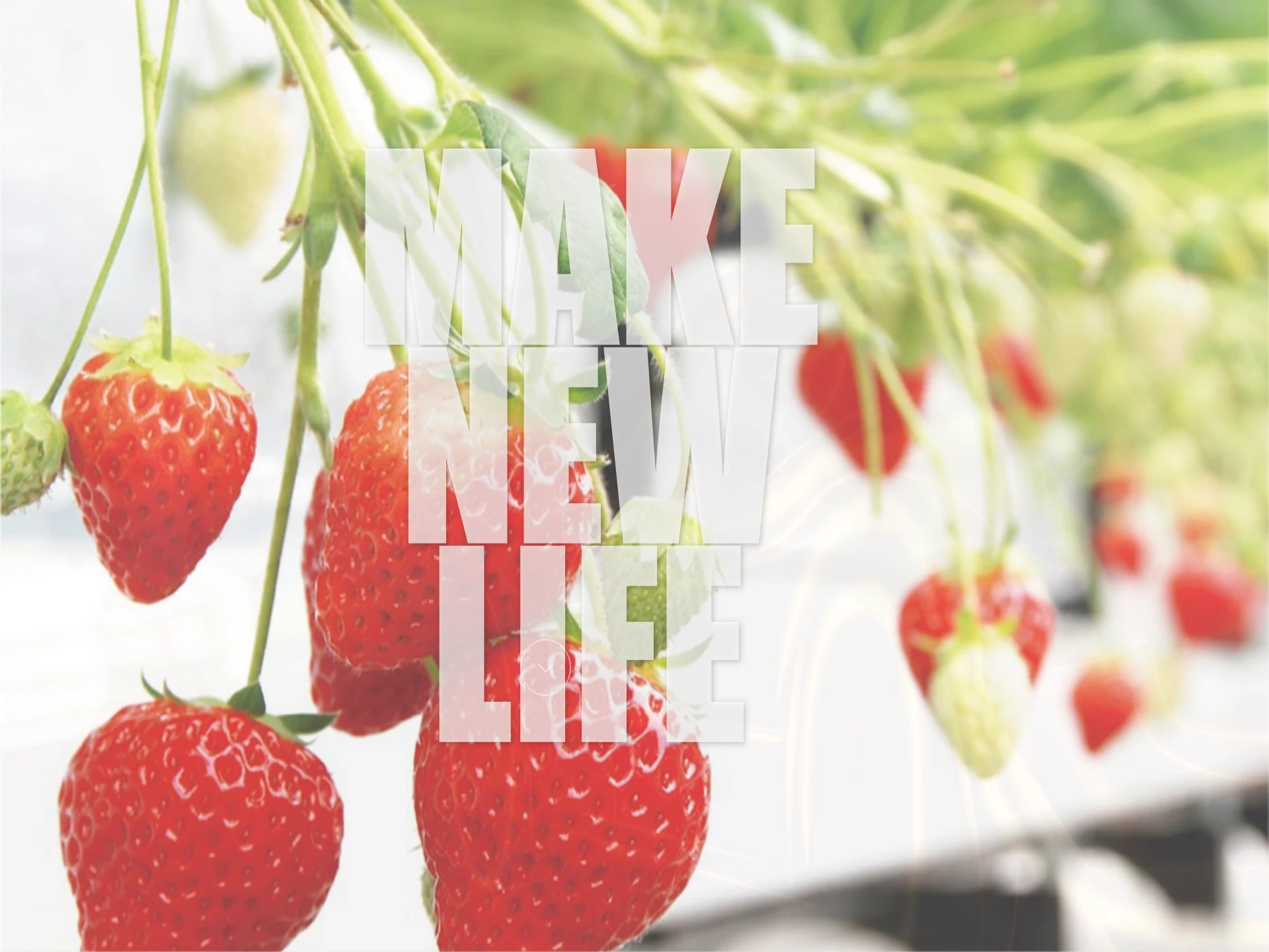 株式会社リバティワン